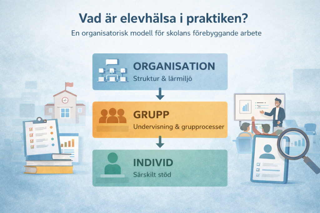 Organisationsmodell för elevhälsa i skolan med nivåerna organisation, grupp och individ.